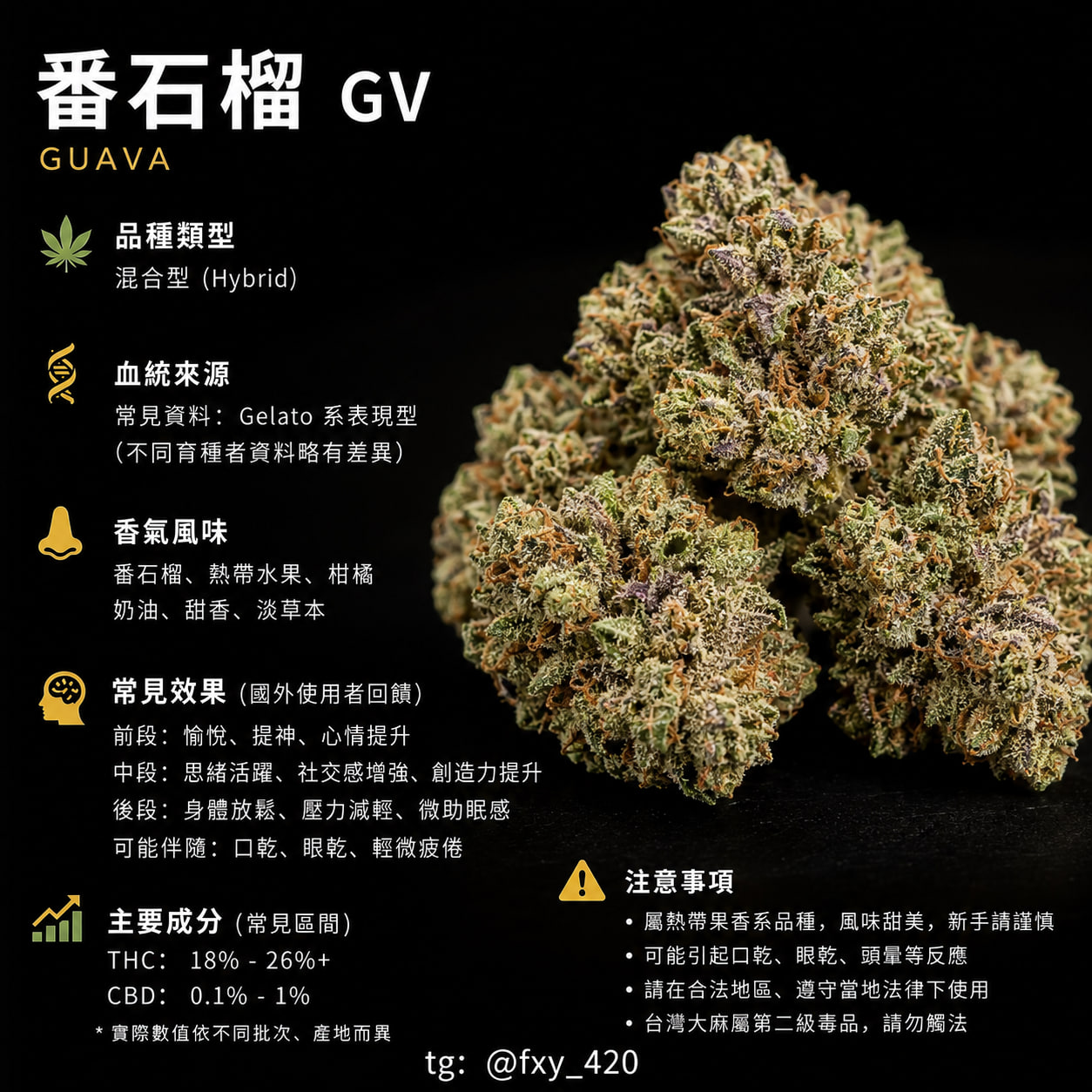 番石榴