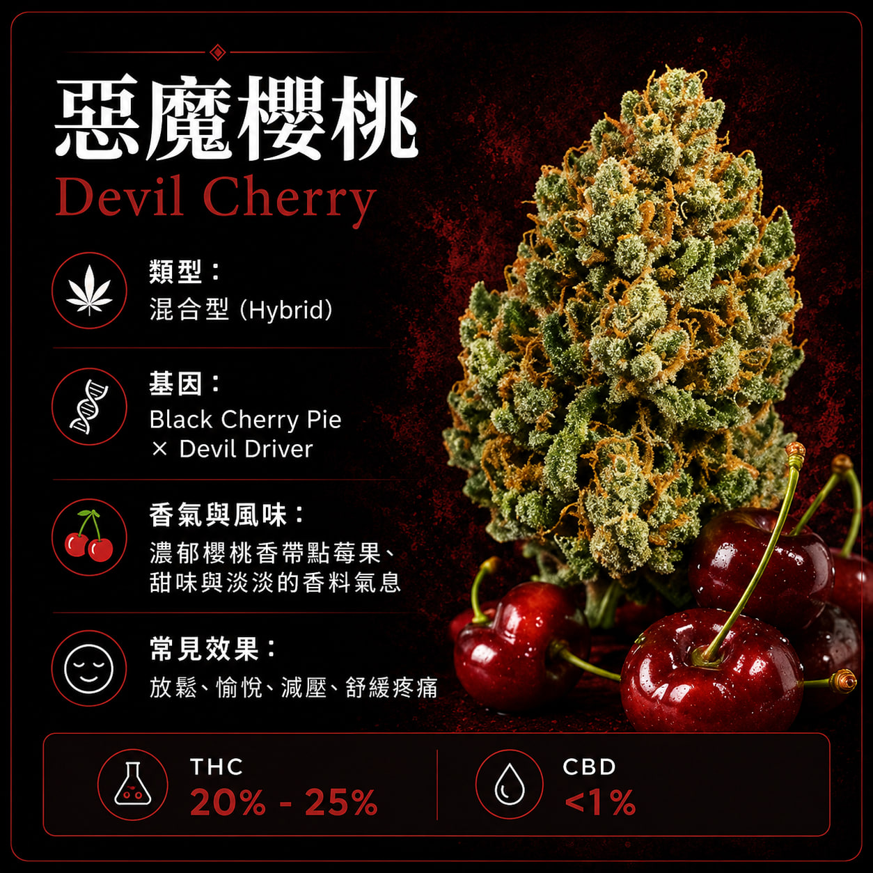 惡魔櫻桃